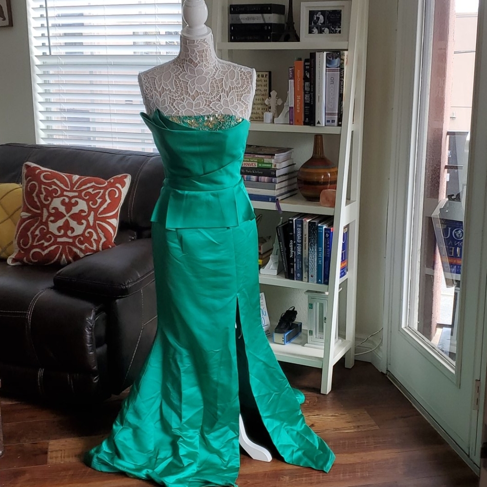 ✨GORGEOUS PROM / FORMAL DRESS✨ CAMILLE LA VIE